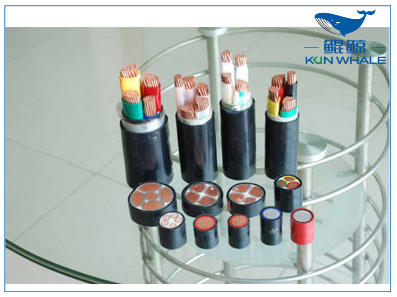 太平洋圖片 太平洋圖片