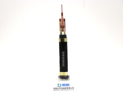 YJV5x10低壓電力電纜 YJV5x10低壓電力電纜