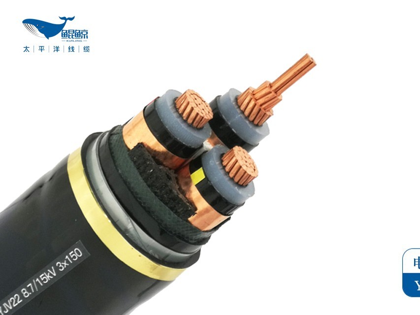 銅芯鎧裝電纜 銅芯鎧裝電纜