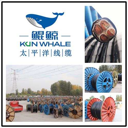 太平洋線纜國產(chǎn)電纜十大品牌排名 太平洋線纜國產(chǎn)電纜十大品牌排名