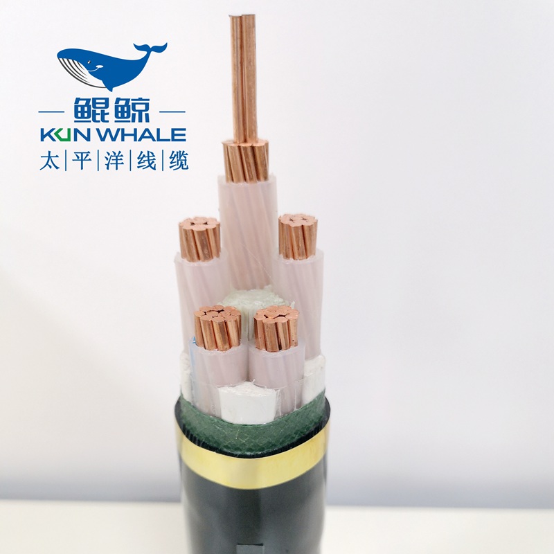 50平方低壓電力電纜,低壓電纜,電力電纜-太平洋線纜 50平方低壓電力電纜,低壓電纜,電力電纜-太平洋線纜