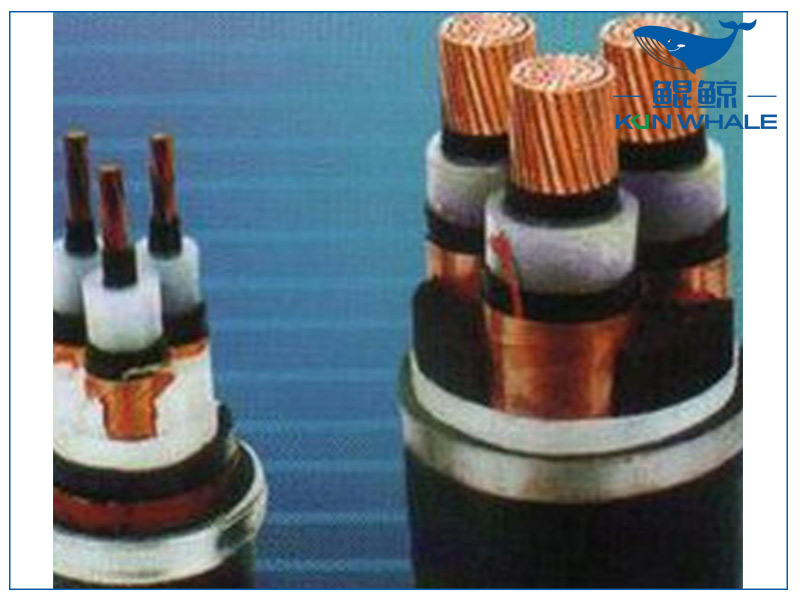 河南太平洋電纜淺談想要家裝電線不被坑,那就看好這五步 河南太平洋電纜淺談想要家裝電線不被坑,那就看好這五步