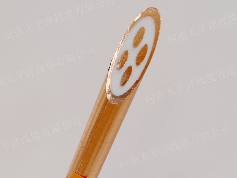 礦物質(zhì)絕緣防火電纜bttz4*10平方電纜 bttz4*10平方電纜