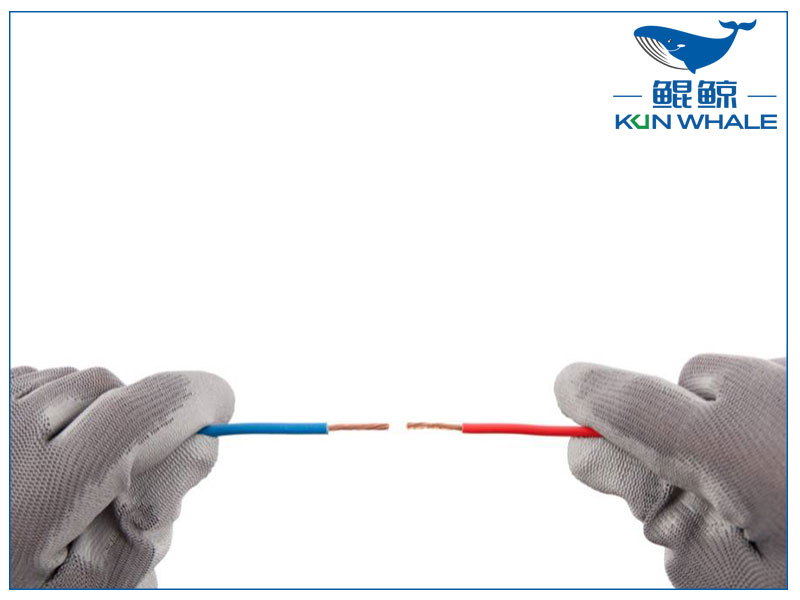 太平洋圖片 太平洋圖片