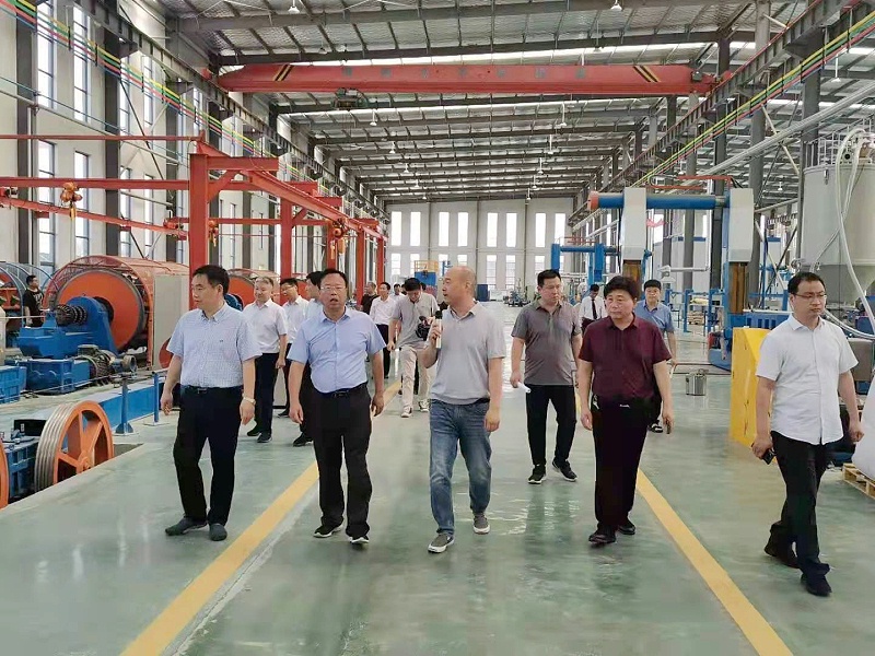 熱烈歡迎市領導一行蒞臨河南太平洋線纜調研督查 熱烈歡迎市領導一行蒞臨河南太平洋線纜調研督查