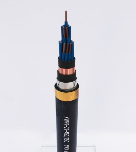 KVVP/YJVP控制屏蔽電纜 KVVP/YJVP控制屏蔽電纜