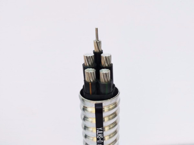 稀土高鐵鋁合金電纜 鋁合金電力電纜 稀土高鐵鋁合金電纜 鋁合金電力電纜