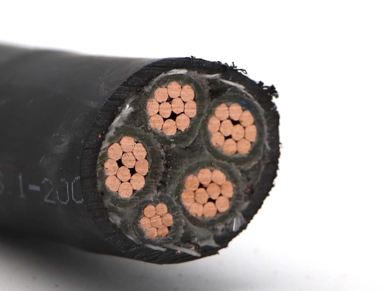 WDZN-YJY4X50+1X25低煙無(wú)鹵電纜 WDZN-YJY4X50+1X25低煙無(wú)鹵電纜