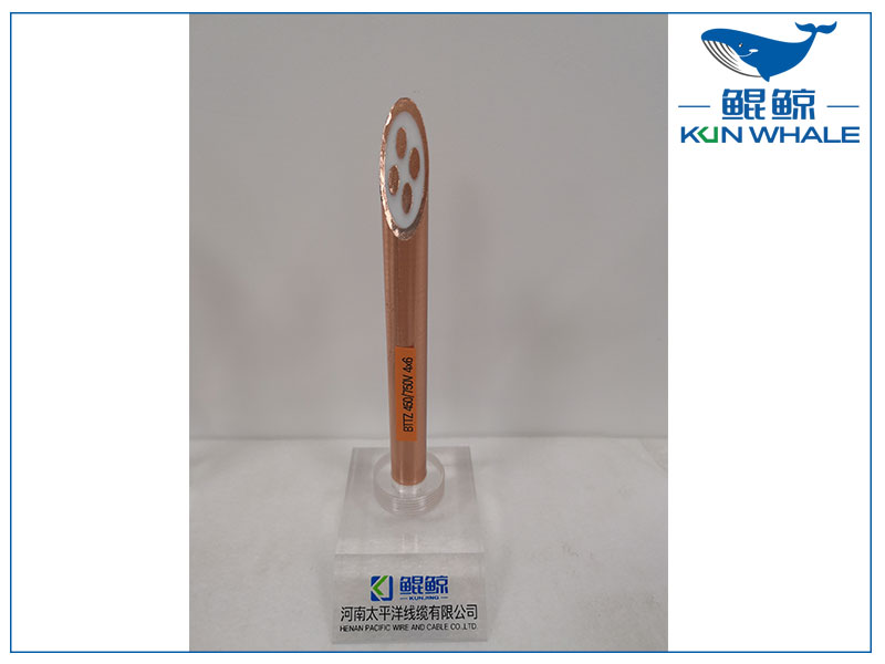 鄭州電纜廠家詳細介紹BTTZ系列礦物絕緣電纜 鄭州電纜廠家詳細介紹BTTZ系列礦物絕緣電纜