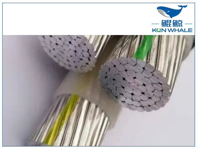 鄭州電纜廠淺談鋁合金電纜需要重點檢測哪些項目? 鄭州電纜廠淺談鋁合金電纜需要重點檢測哪些項目?