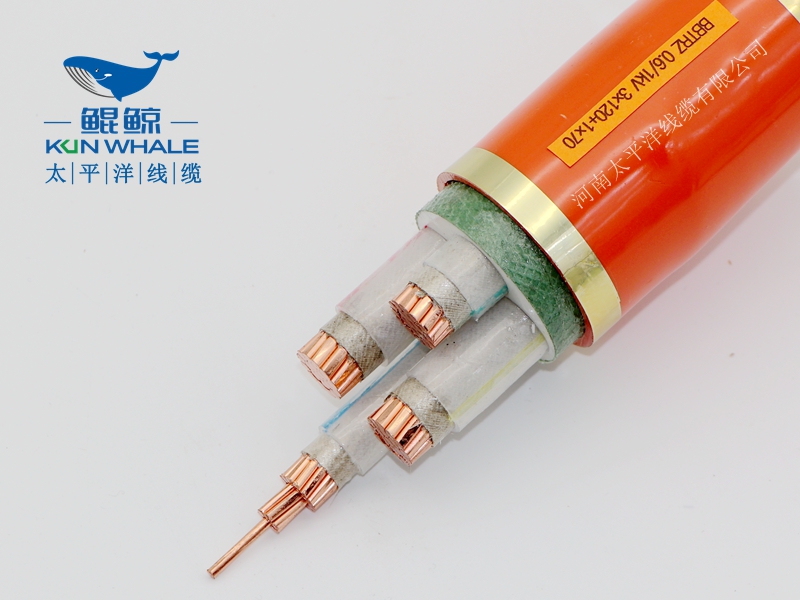 電線電纜廠家淺談什么叫BTTRZ電纜YTTW電纜型號是什么? 電線電纜廠家淺談什么叫BTTRZ電纜YTTW電纜型號是什么?