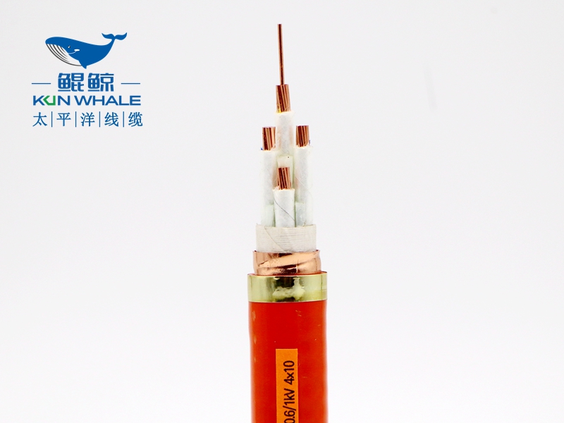 電線電纜廠家淺談什么叫BTTRZ電纜YTTW電纜型號(hào)是什么? 電線電纜廠家淺談什么叫BTTRZ電纜YTTW電纜型號(hào)是什么?