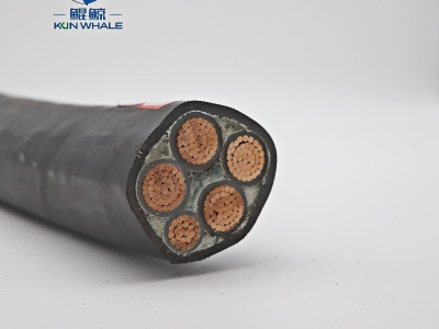 WDZN-YJY4x240+1x120 低煙無(wú)鹵阻燃耐火型電纜 WDZN-YJY4x240+1x120 低煙無(wú)鹵阻燃耐火型電纜