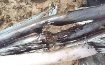 電線電纜短路 電線電纜短路