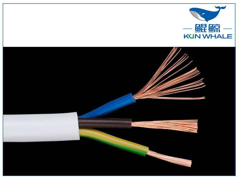 太平洋圖片 太平洋圖片