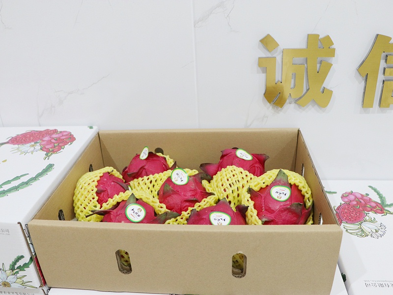 公司福利 公司福利