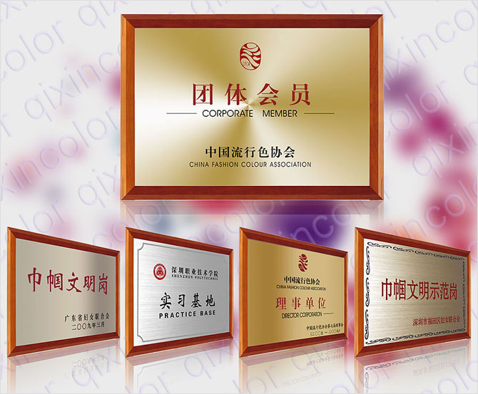 公司獲得的榮譽(yù)、獎(jiǎng)牌